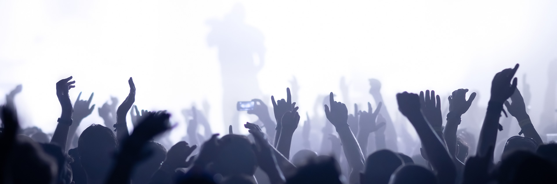 silhouettes of concert crowd